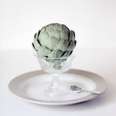 Artichoke with Ektar