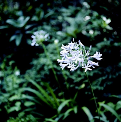 g3/49/766749/3/125254879.7PRdiYoE.jpg