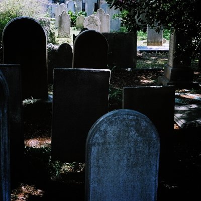 g3/49/766749/3/95774909.VTsuwCqx.jpg