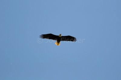 Glacier NP 07-13-08 0478