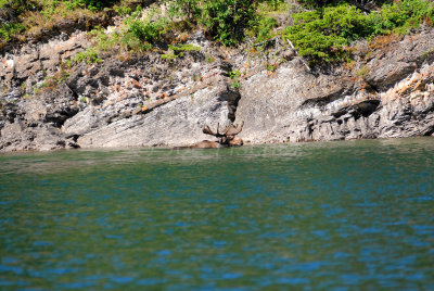 Waterton NP 07-20-08 1487