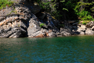 Waterton NP 07-20-08 1490