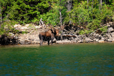 Waterton NP 07-20-08 1497