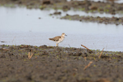 Galveston 09-01-08 0228