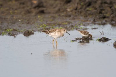 Galveston 09-01-08 0310