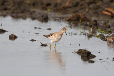 Galveston 09-01-08 0325