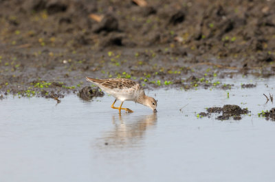 Galveston 09-01-08 0354