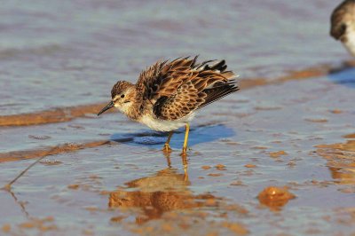 Matagorda County 01-02-09 0180