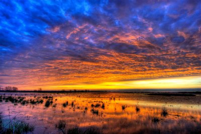 Attwater NWR 01-11-09 032_HDR