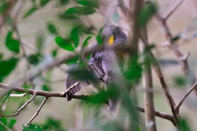 Brazos Bend SP 02-06-09 0008