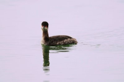 Port Lavaca 02-13-09 0070