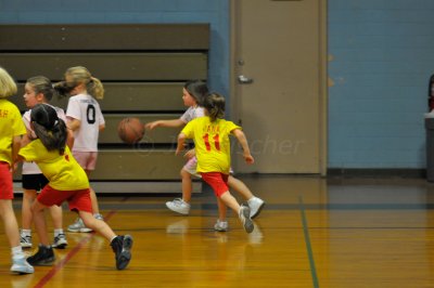 Danielle's B-Ball Playoff Game 4 03-06-09 0098