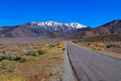 Death Valley NP 3-18-09 1192.JPG