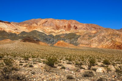 Death Valley NP 3-20-09 1329.JPG