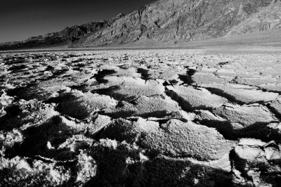 Death Valley NP 3-15-09 0479 BW.JPG