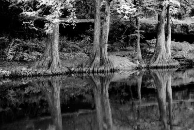 McKinney Falls SP 5-24-09 0156 BW.JPG