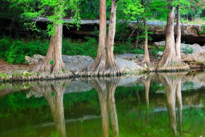 McKinney Falls SP 5-24-09 0156.JPG