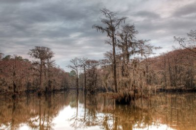 Caddo Lake SP 1-17-10 0014_HDR.JPG