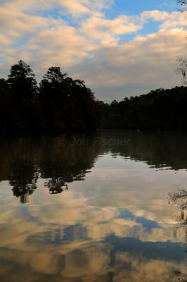 Caddo Lake SP 1-17-10 0038.JPG