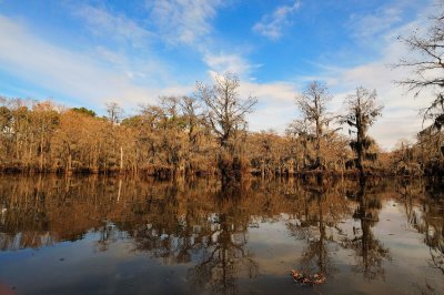 Caddo Lake SP 1-18-10 0153.JPG