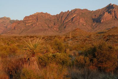 Big Bend NP Oct. 2007 00082.jpg