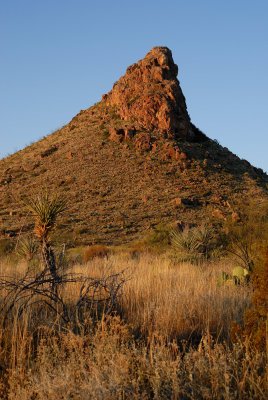 Big Bend NP Oct. 2007 00086.jpg