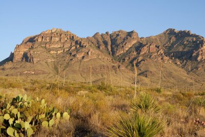 Big Bend NP Oct. 2007 00087.jpg
