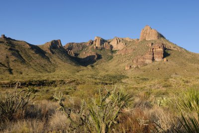 Big Bend NP Oct. 2007 00094.jpg