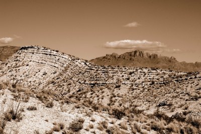 Big Bend NP Oct. 2007 01190 Sepia.jpg