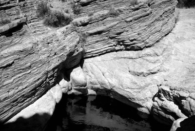 Big Bend NP Oct. 2007 01212 BW.jpg