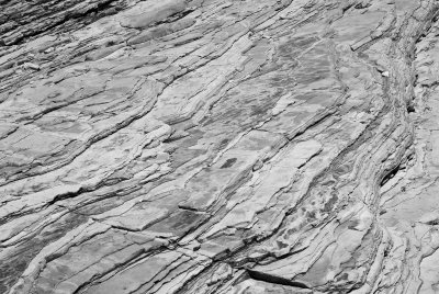 Big Bend NP Oct. 2007 01214 BW.jpg