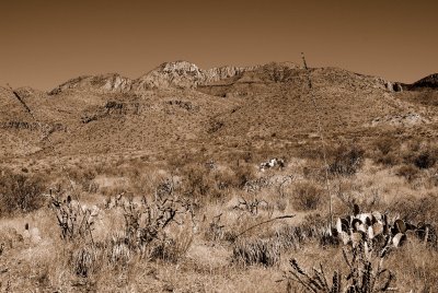 Big Bend NP Oct. 2007 01225 Sepia.jpg