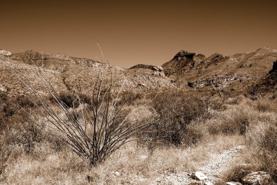 Big Bend NP Oct. 2007 01226 Sepia.jpg