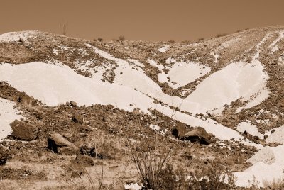 Big Bend NP Oct. 2007 01247 Sepia.jpg