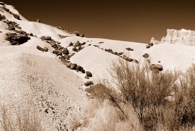 Big Bend NP Oct. 2007 01254 Sepia.jpg