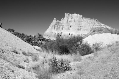 Big Bend NP Oct. 2007 01255 BW.jpg
