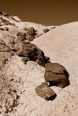 Big Bend NP Oct. 2007 01256 Sepia.jpg