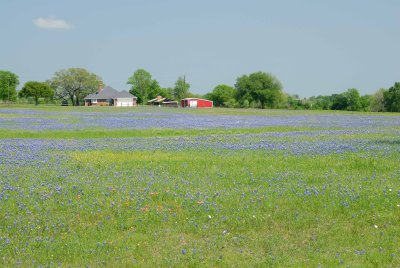 Washington Co. TX 04-06-08 0091