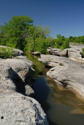 McKinney Falls SP 04-19-08 0088