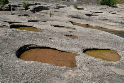 McKinney Falls SP 04-19-08 0126