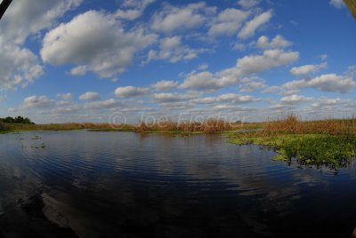 Brazoria NWR 4-15-08 0001