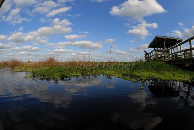 Brazoria NWR 4-15-08 0116