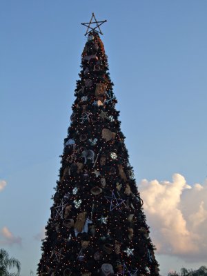 christmas tree 1264.jpg