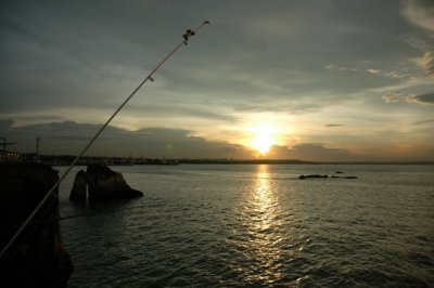 g3/49/807049/3/89055416.klSS51NP.jpg