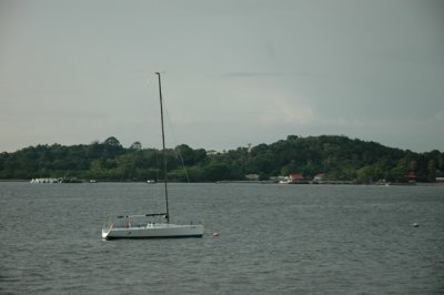g3/49/807049/3/89057506.a7pFp8l2.jpg