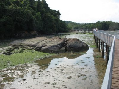 g3/49/807049/3/94510348.UMVvsNF9.jpg