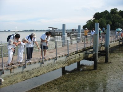 g3/49/807049/3/94510353.UnvYGTmw.jpg