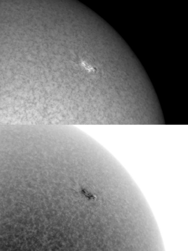 AR 1042 24 January 2010