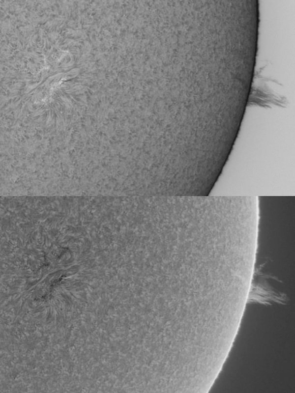 AR 1059 plus prominence 5 April 2010