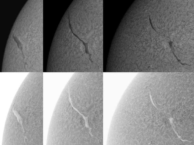 Filament 18-20 May 2010